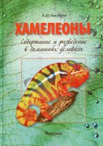 Хамелеоны. Содержание и разведение в домашних условиях