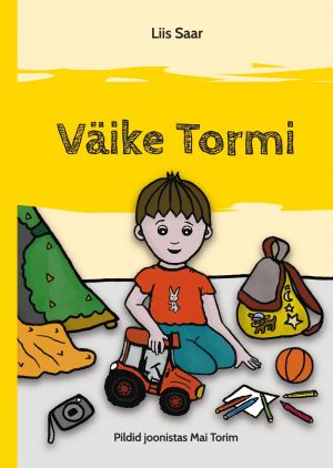 Väike tormi