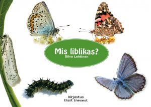 Mis liblikas?