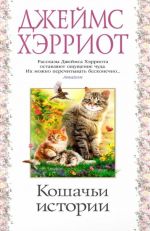 Кошачьи истории