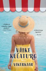 Väike kulaturg. Vikerkaar