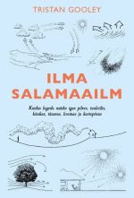 Ilma salamaailm