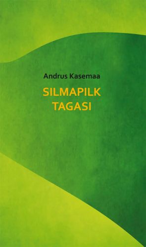 Silmapilk tagasi