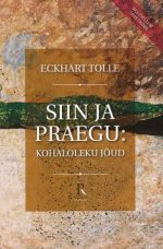 Siin ja praegu: Kohaloleku joud