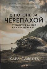 В погоне за черепахой: Путешествие длиной в 200 миллионов лет