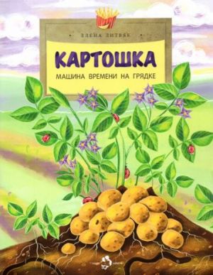 Картошка. Машина времени на грядке