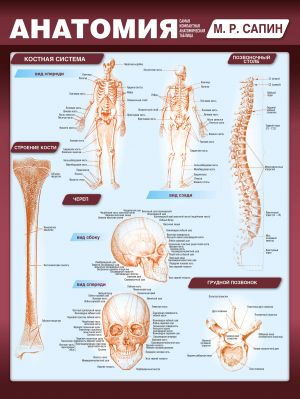 Anatomija. Samaja kompaktnaja anatomicheskaja tablitsa