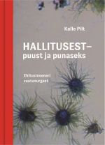 Hallitusest - puust ja punaseks. ehitusinseneri vaatenurgast