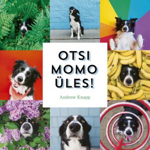 Otsi Momo üles!