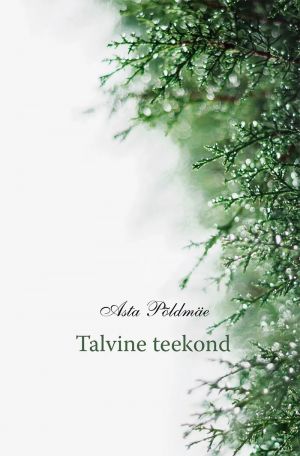 Talvine teekond