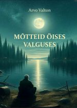 Mõtteid öises valguses