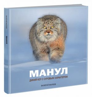 Манул. Дикий кот с суровым характером. Иллюстрированный авторский фотоальбом