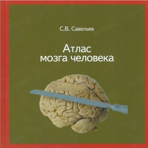 Atlas mozga cheloveka