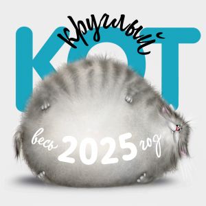 Kruglyj Kot. Nastennyj kalendar na 2025 god (300kh300)