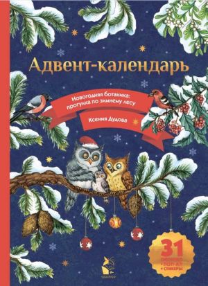 Адвент-календарь. Новогодняя ботаника: прогулка по зимнему лесу