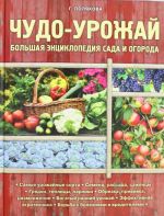 Чудо-урожай. Большая энциклопедия сада и огорода