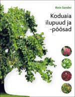 KODUAIA ILUPUUD JA -POOSAD