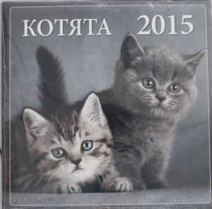 Kotjata 2015