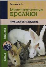 Мясошкурковые кролики. Прибыльное разведение