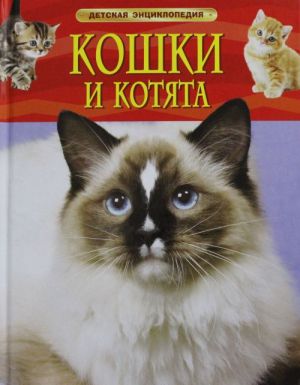 Koshki i kotjata.