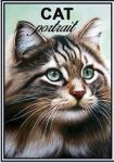 Matches. Norwegian Forest Cat Cat portrait